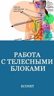 Блоки зажимы телесные блоки