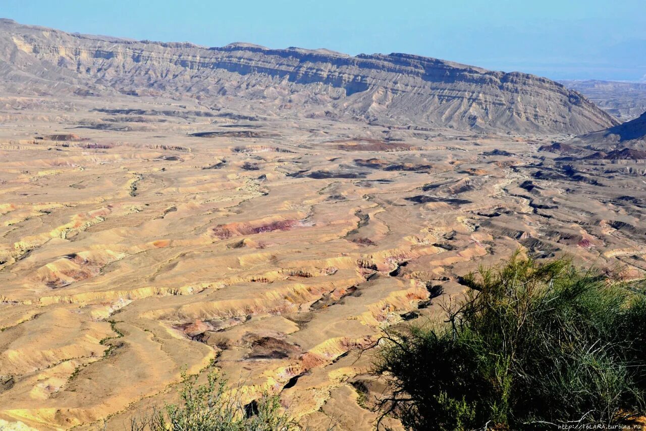 Пустыня негев на карте. Negev пустыня в Израиле. Лес в пустыне Негев.