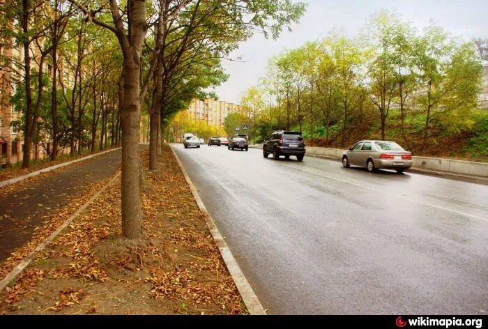 владивосток ул котельникова