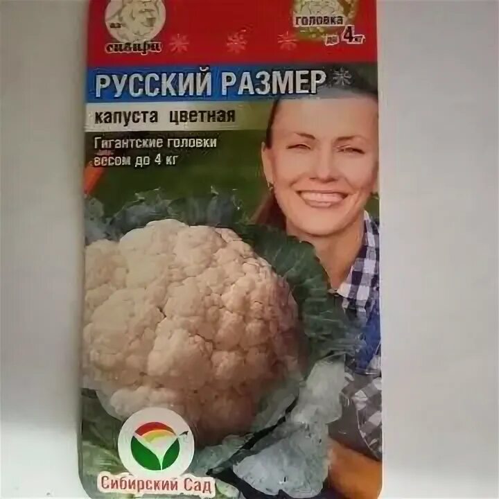 Капуста сорта русский размер описание фото Фитостудия-63.ру