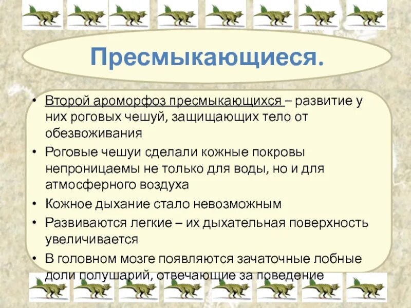 Ароморфозы класса пресмыкающихся. Ароморфозы пресмыкающихся. Развитие пресмыкающихся. Ароморфозы рептилий. Основные ароморфозы рептилий.