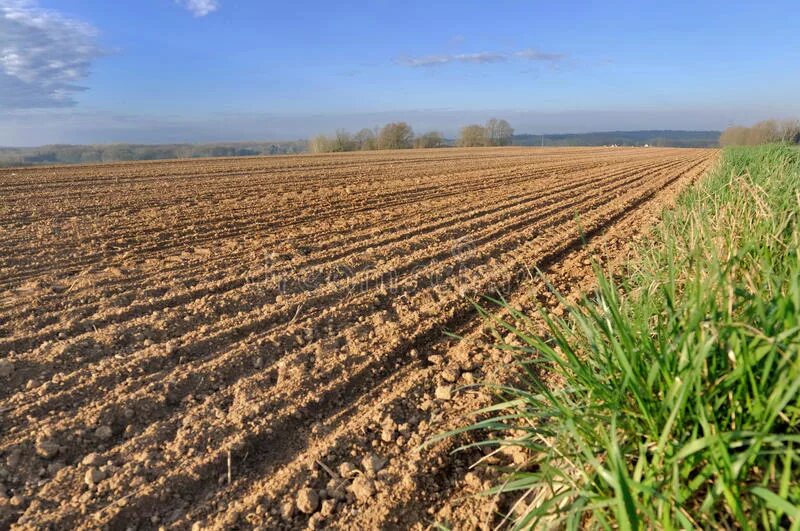 Вспаханное поле сбоку фон. Row fields