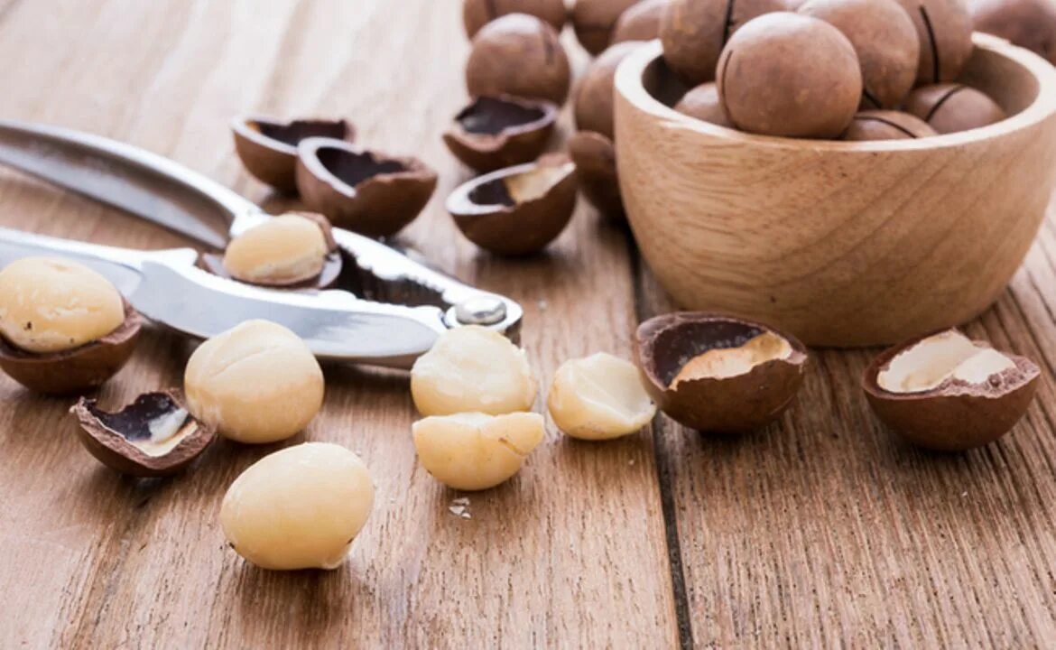 Макадамия что можно сделать. Macadamia Nuts. Макадамия орех Родина. Макадамия 600 пикс. Орехи Эстетика.