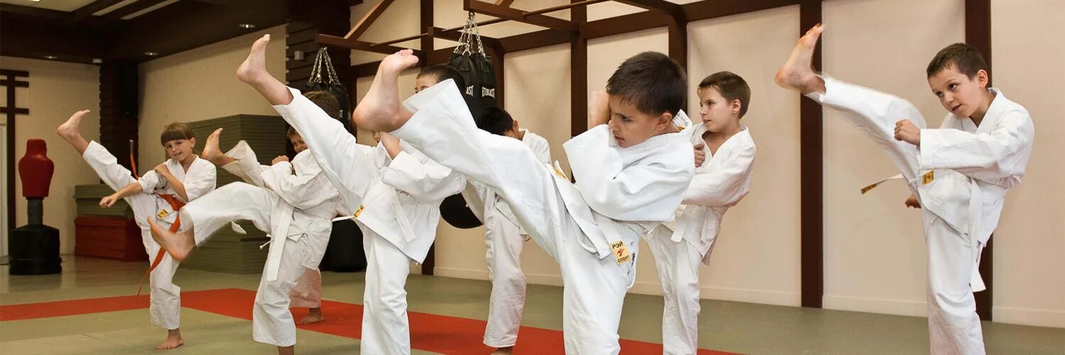 Ученик дзюдо. Юра карате. Биробиджан инструкторы карате киокушинкай. Красильников давид каратэ. Спорт карате.