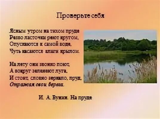 Утро есть утро это ясно. Ясным утром на тихом пруде резво ласточки реют. Ясным утром на тихом пруде. Бунин ясным утром на тихом пруде. Стихотворение про пруд.