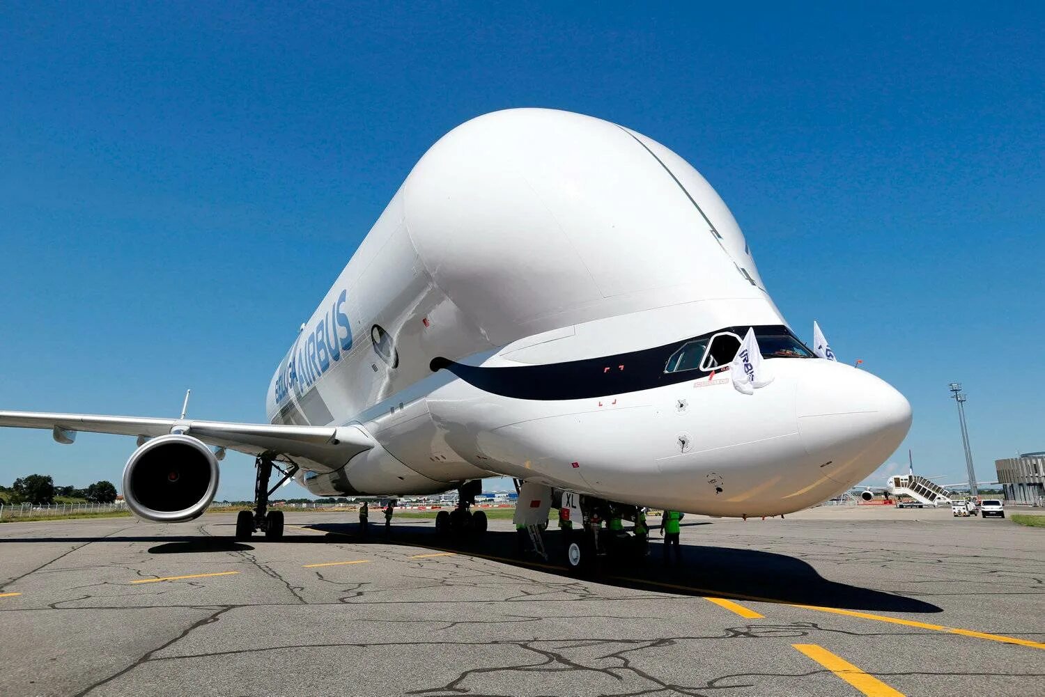 Самые большие пассажирские. Airbus Beluga грузовые самолёты. А380 Белуга. Аэробус Белуга пассажирский. Аэробус Белуга XL пассажирский.