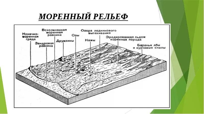 Ледниковые формы рельефа распространены. Моренный холм форма рельефа. рельеф моренные холмы это что. моренные равнины. моренная гряда.