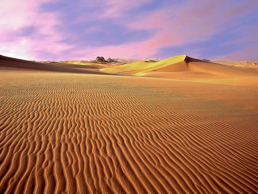 Заповедник аир и тенере. Нигер пустыня тенере. Аир (плато). Дерево тенере нигер. Тенере сахара.