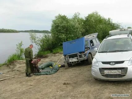 Погода в тавде сейчас