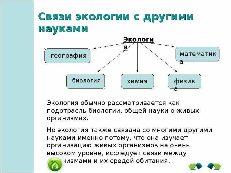 Экология взаимосвязь. Связь экологии с другими науками. Экологические связи схема. Связь экологии с географией.