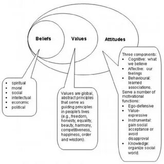 Attitudes and beliefs