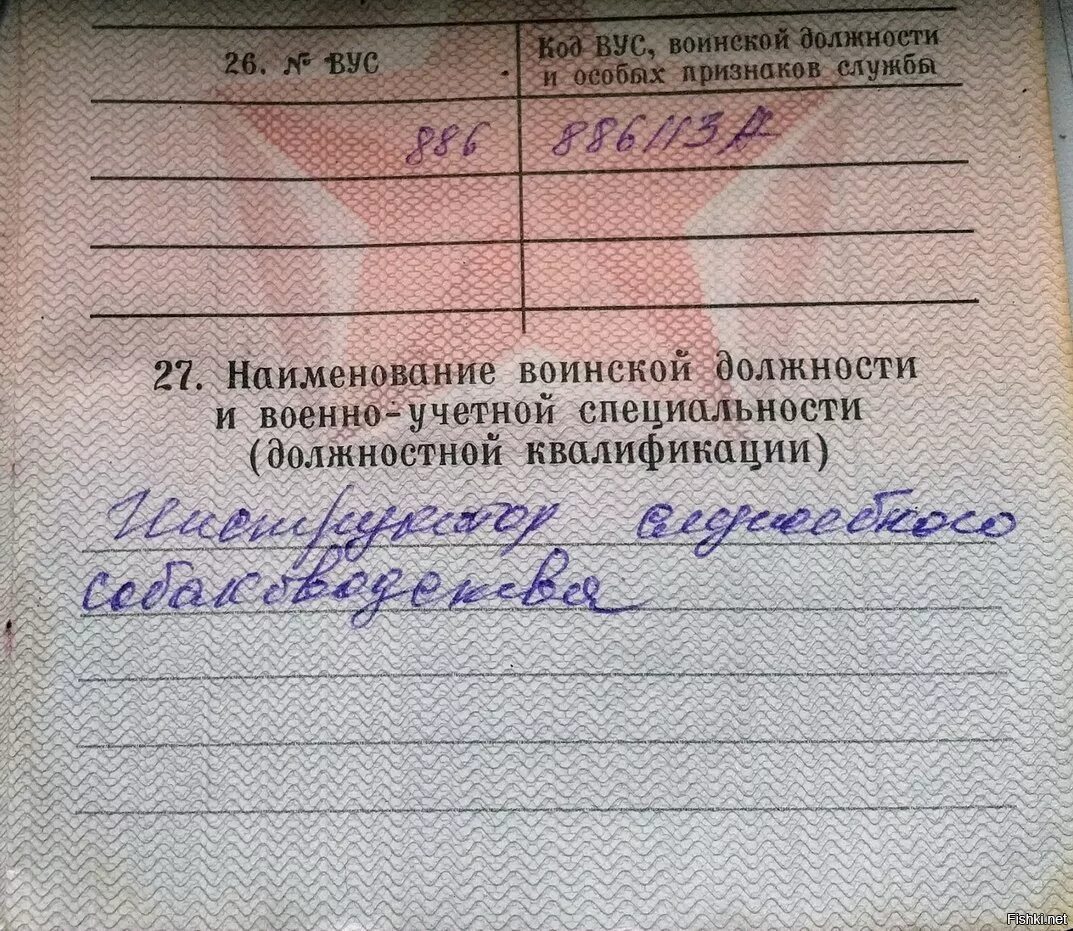 ВУС военно учетная специальность. Специализация в военном билете. Код специальности в военном билете. Воинская должность в военном билете. Учетные специальности список