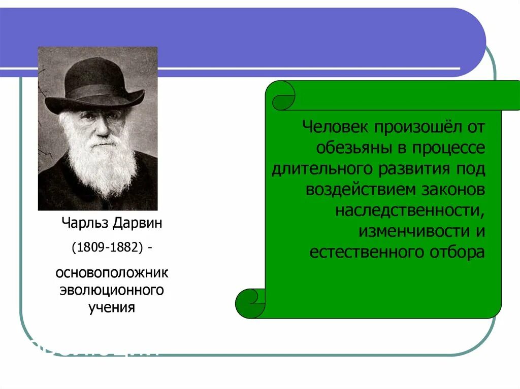 Основоположник учения об эволюции. Чарльз дарвин - основоположник эволюционного учения.. концепция биологической эволюции. чарльз дарвин 1809-1882 основоположников эволюционного учения. чарльз дарвин изменчивость.