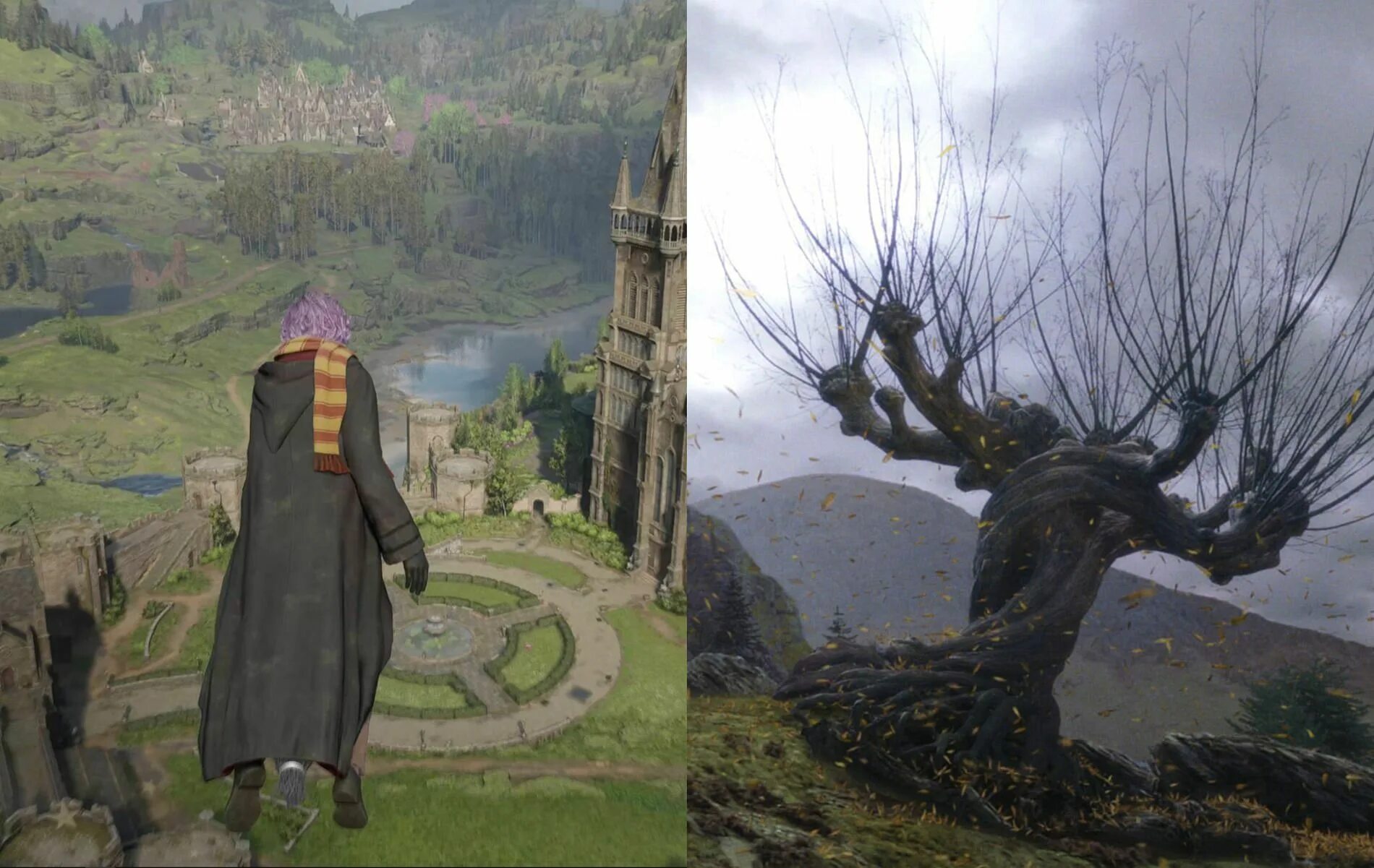 Whipping willow. Гремучая ива хогвартс легаси. whomping willow harry potter.