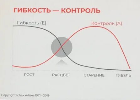 Конкурентная гибкость