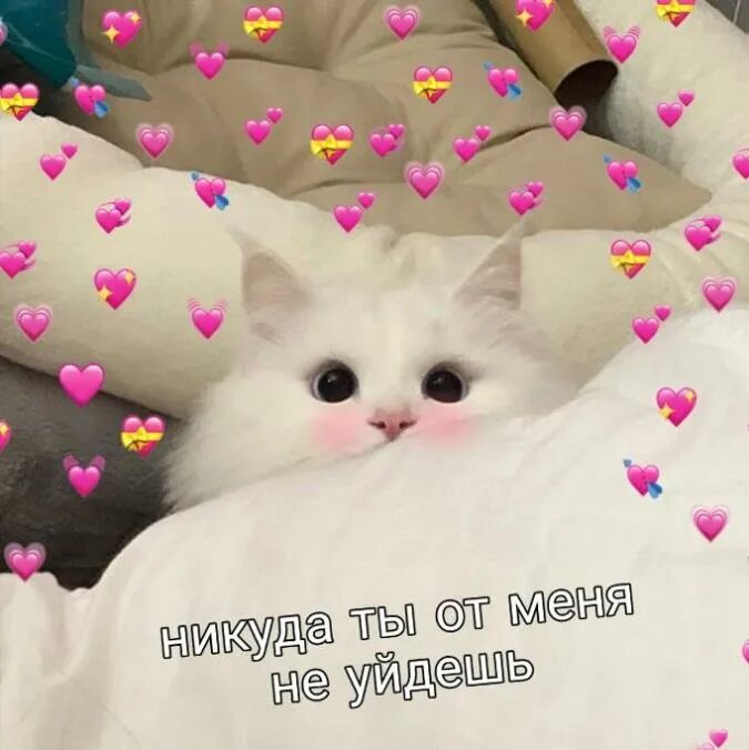 люблю скучаю жду. тик ток любимый я скучаю. скучаю картинки. тик ток любимый я скучаю. открытка «я скучаю».