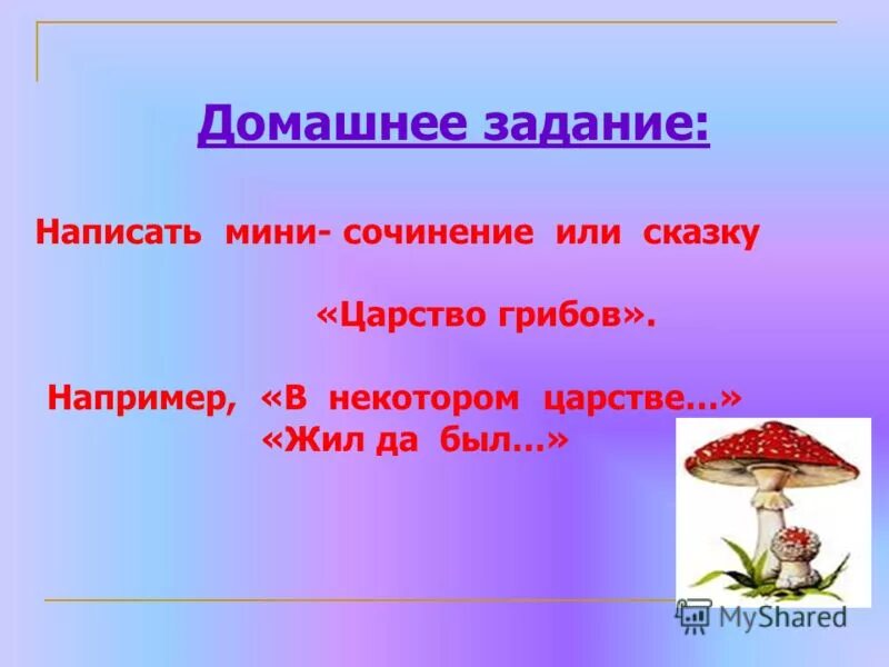 Наука про грибы. Скороговорки про грибы. Мини сочинение про грибы. Мини сочинение за грибами. Царство грибы  мини сочинение.