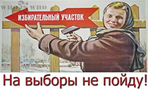 Иду на выборы картинки прикольные