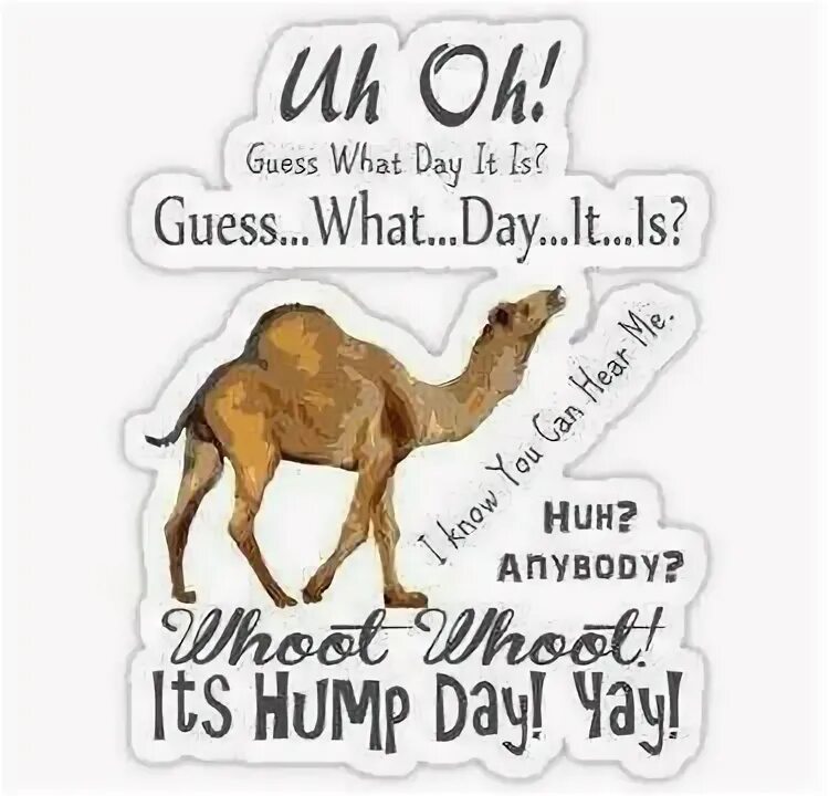 Read and guess what it is. Yoyoyo its hump day. what a day huh. whats a day huh.