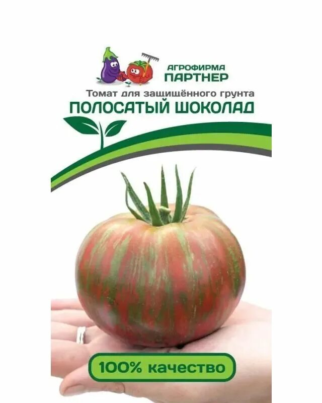 Томат шоколадный полосатый. Семена томат партнер полосатый шоколад. Шоколадный полосатик томат. Сорт томата полосатый шоколад. Семена томат полосатый шоколад.