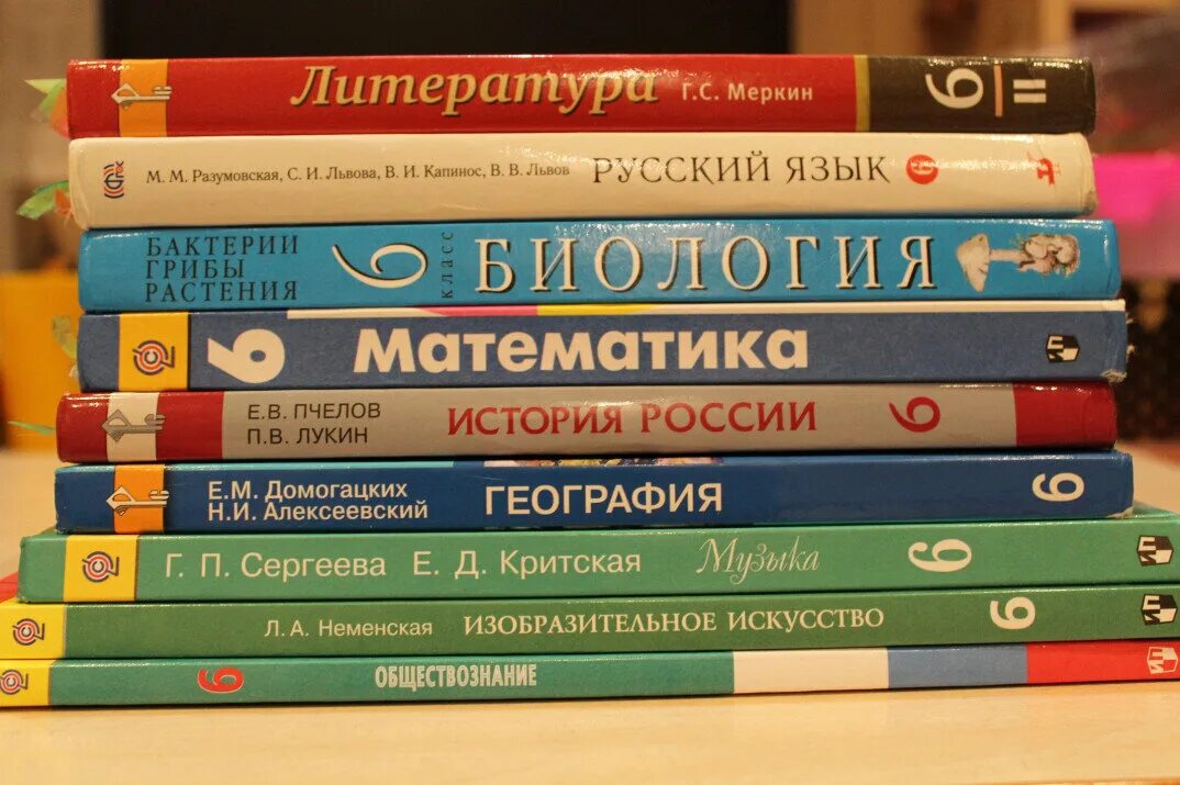 Учебники 6 класс. Учебники за 6 класс. Учебники шестого класса. Школьные учебники 6 класс. В каких играх есть книги