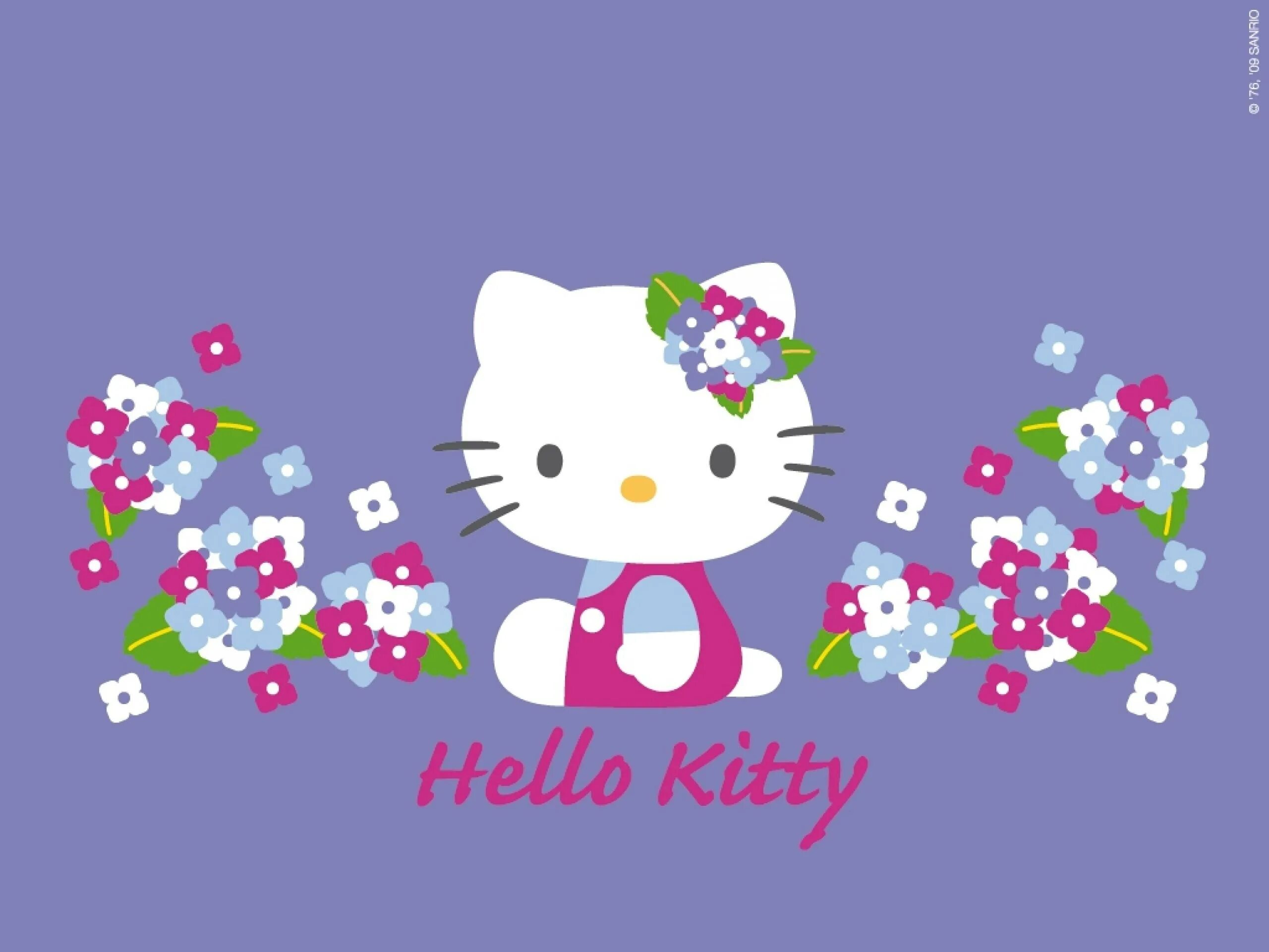 Хелло кит. Хелло Китти. Хеллоу Китти Хеллоу Китти. Хеллоу Китти hello Kitty hello Kitty. [TKJE RBBB.