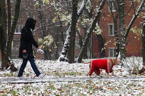 1 ый снег