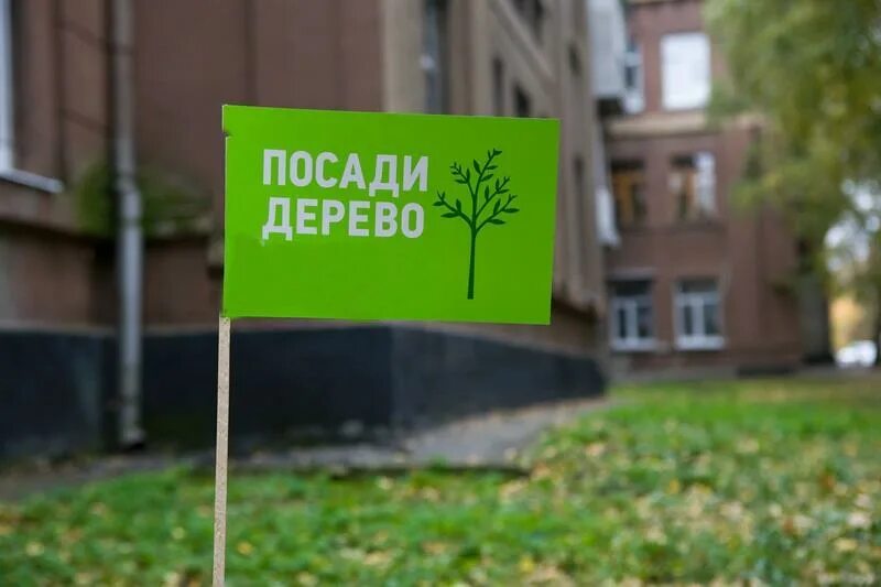 Акция посадка деревьев в детском саду. Приглашение на посадку деревьев. Экологическая акция посади дерево. Акция посади дерево. Акция наш лес посади свое дерево.