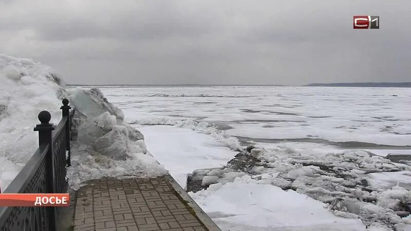 Ледоход обь 2025 прогноз сургут. Обь ледоход 2025 сургут. ледоход на оби 2025. ледоход в сургуте. ледоход на оби.