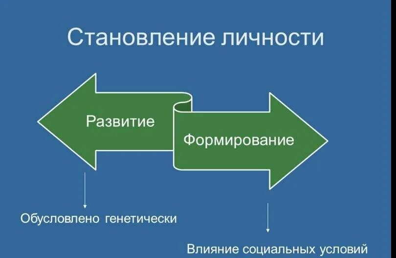 Становление. Фазы становления личности. Процесс становления личности. Три фазы развития личности. Формирование личности обусловлено.