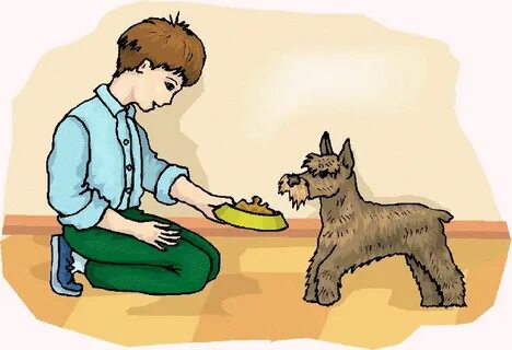 Feed my pet