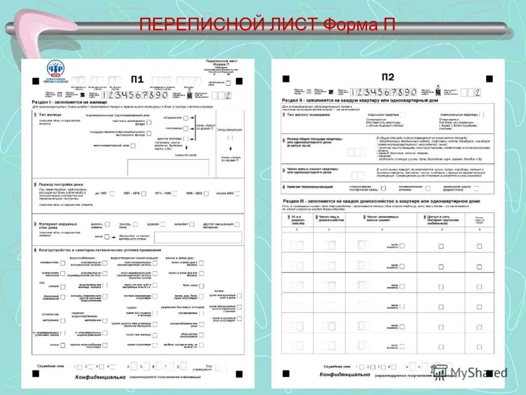 Перепись населения переписные листы. Переписной лист переписи населения. Перепись населения переписные листы. Форма переписного листа. Переписной лист переписи населения 2021 года.