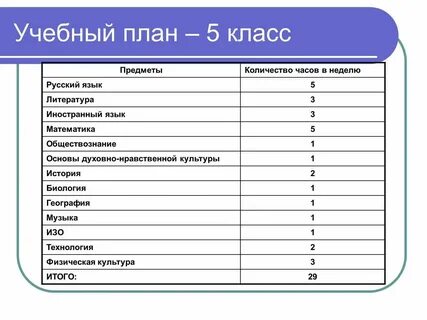 Какие новые предметы появляются в 7