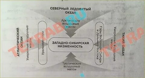Где зимой господствует арктическая воздушная масса