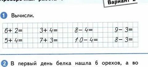 Проверочная работа белки