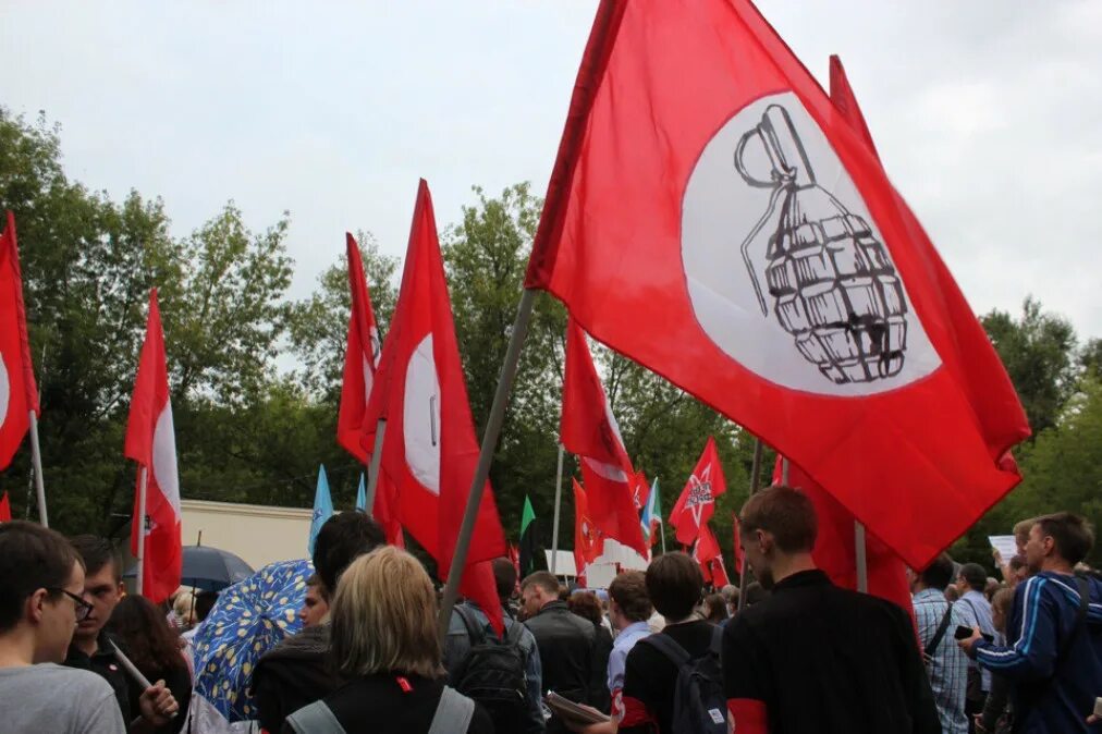 Митинг реформа. Другая Россия митинг. Митинг нацболов. Митинг другая Россия Лимонов. Нацболы в России.