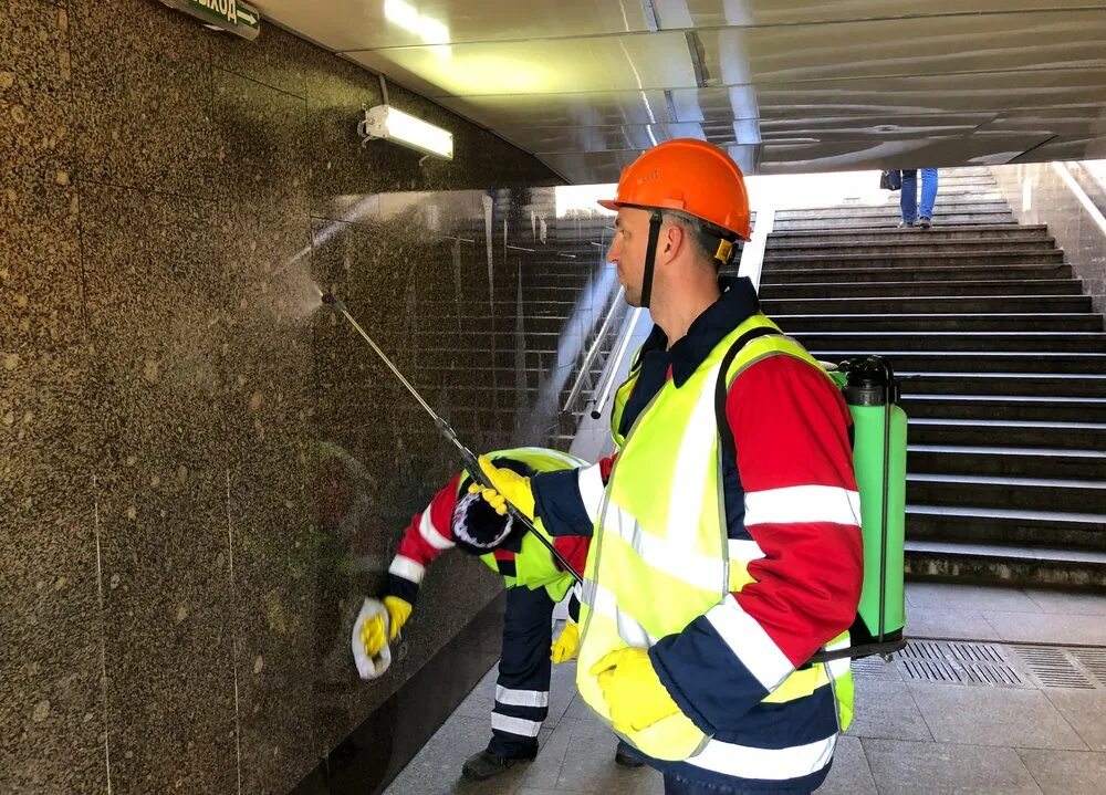 Гбу гормост. Гбу гормост логотип. Уборка гормост. Гбу гормост. Гормост москва.