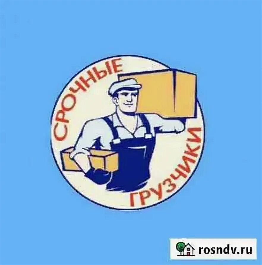 Грузчики ульяновск. Грузчики иваново фото. Чаат грузчиков ульяновск. Шабашка в янауле. Такелажная система для грузчиков.