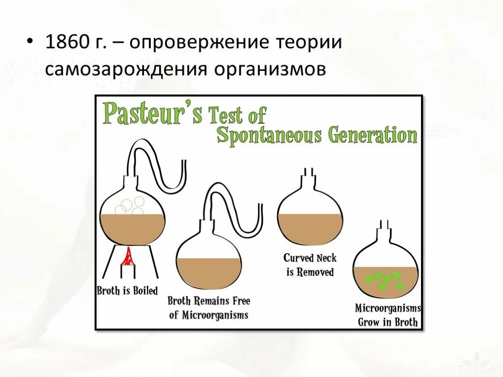 Какие опыты показали невозможность самозарождения. Луи Пастер самозарождение жизни. Луи Пастер опровержение самозарождения. Эксперимент Луи Пастера. Теория самозарождения Пастер.