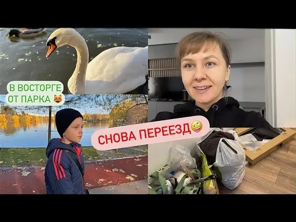 Переехала снова