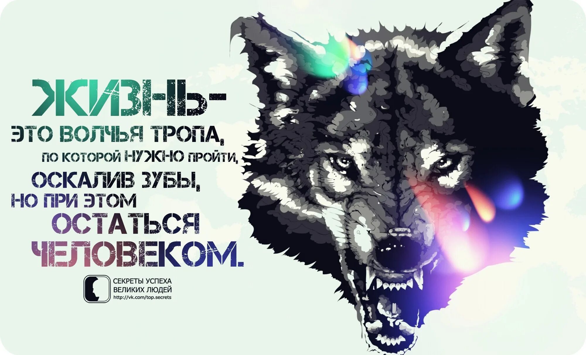 Мудрости жизни с волками. С волками жить по волчьи выть. Волчья мудрость. Знаки зодиака живущие по волчьим законам. Знаки зодиака живущие по волчьим законам.