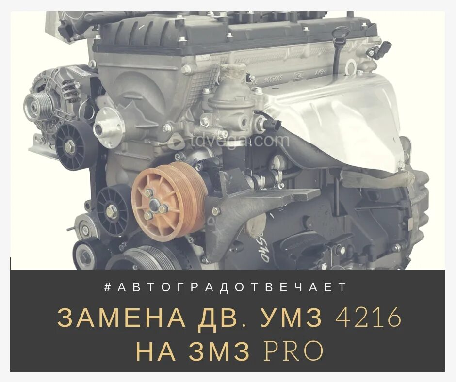 Вместо умз. Газель бизнес 2022 с двигателем 409 ЗМЗ. ЗМЗ 409 про на Газель бизнес. УМЗ 409 2020 двигатель. Двигатель ЗМЗ 409 И УМЗ 4216.