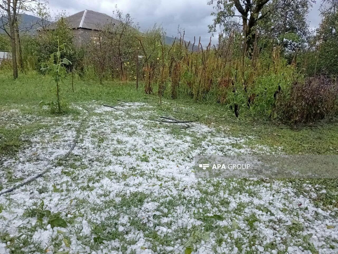 Каз омэсе. Погода апа. Meteo word. Заставка прогноз погоды. Погода в москве.