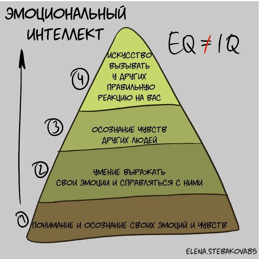 How to get iq. Структура эмоционального интеллекта. Эмоциональный интеллект пирамида. Уровень интеллекта у человека. Уровень интеллекта шкала.