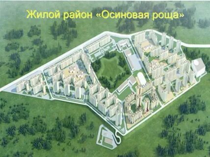 Цветы осиновая роща