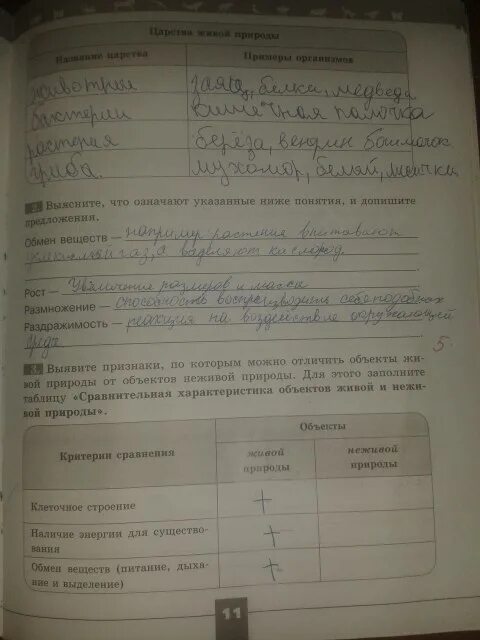 Биология 5 класс рабочая тетрадь стр 87. Рабочая тетрадь по биологии 5 класс Пасечник линия жизни. Пасечник линия жизни 5 класс биология 5. Рабочая тетрадь 5 класс биология Пасечник грибы. Рабочая тетрадь по биологии 5-6 класс Пасечник.