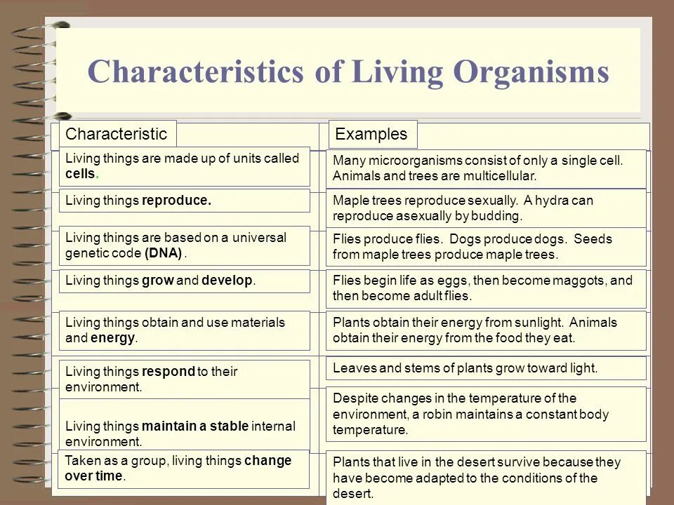 Characteristics of Living Organisms. Characteristics of Living things. Characteristic feature of Living Organisms. Seven characteristics of Living things. Character's features