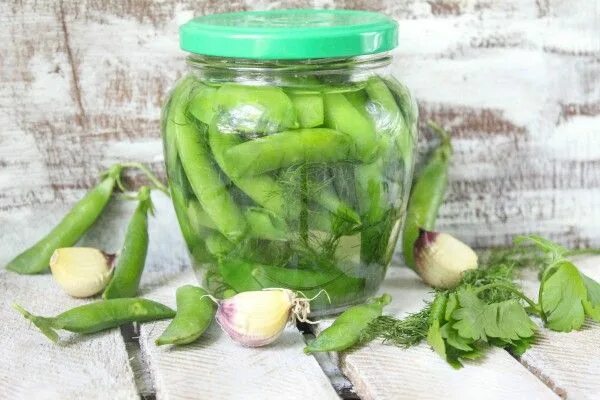 Как маринуют горошек на зиму. Зеленый перец горошком в рассоле. маринованный зеленый горошек. горошек консервированные в стручках. маринованный зеленый горошек на зиму.