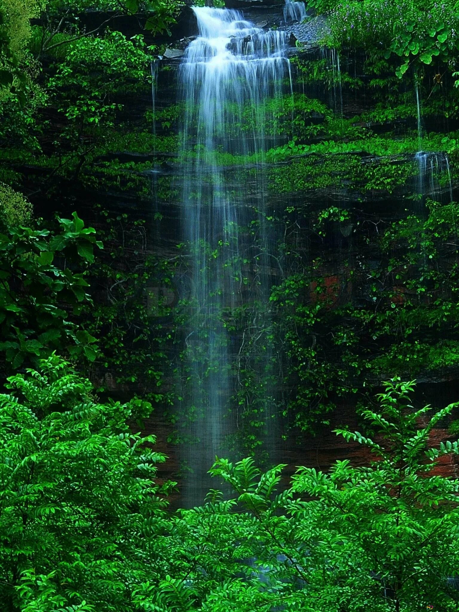 Живые 3д на андроид. Красивые водопады. Красивый водопад в лесу. Зеленый водопад. Природа вертикальные.