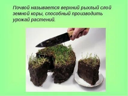 Грунтом называют